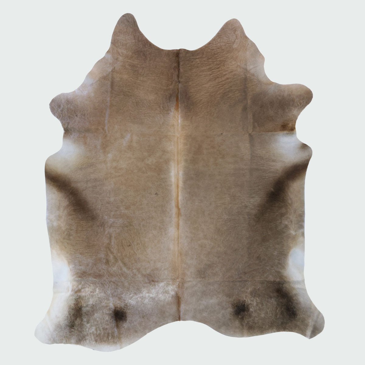 Natural Brazilian Cowhide Pattern 1155 (Golden Champagne)