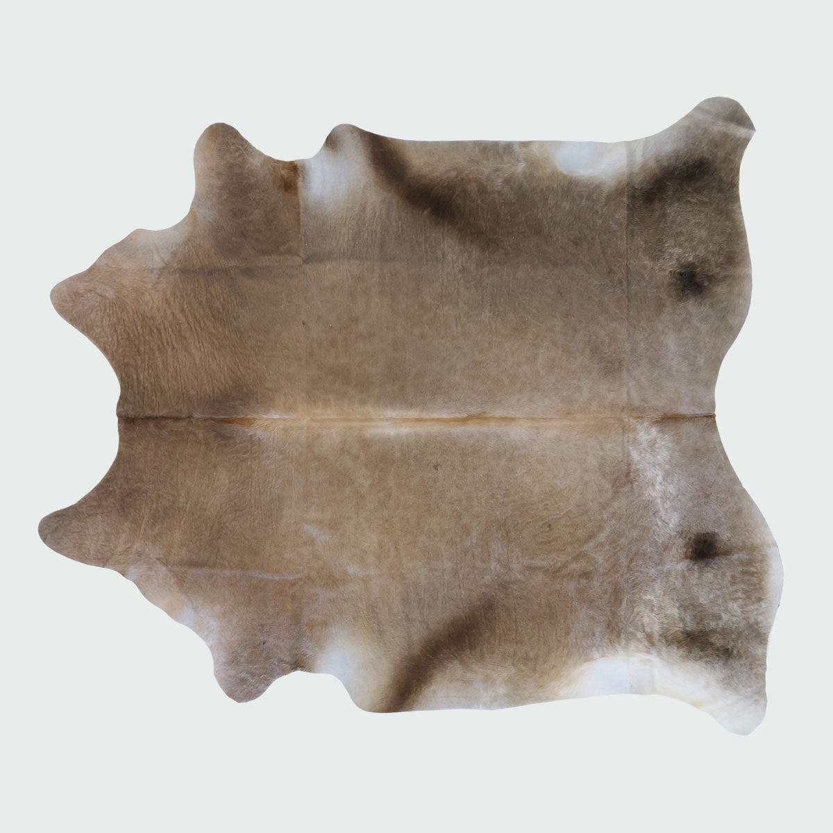 Natural Brazilian Cowhide Pattern 1155 (Golden Champagne)