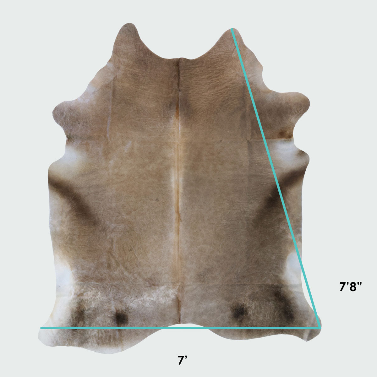 Natural Brazilian Cowhide Pattern 1155 (Golden Champagne)