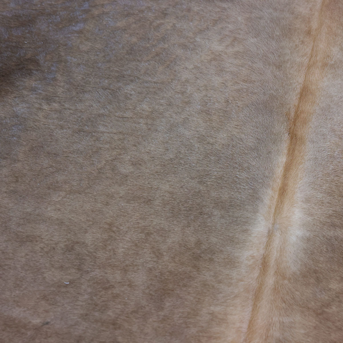 Natural Brazilian Cowhide Pattern 1155 (Golden Champagne)