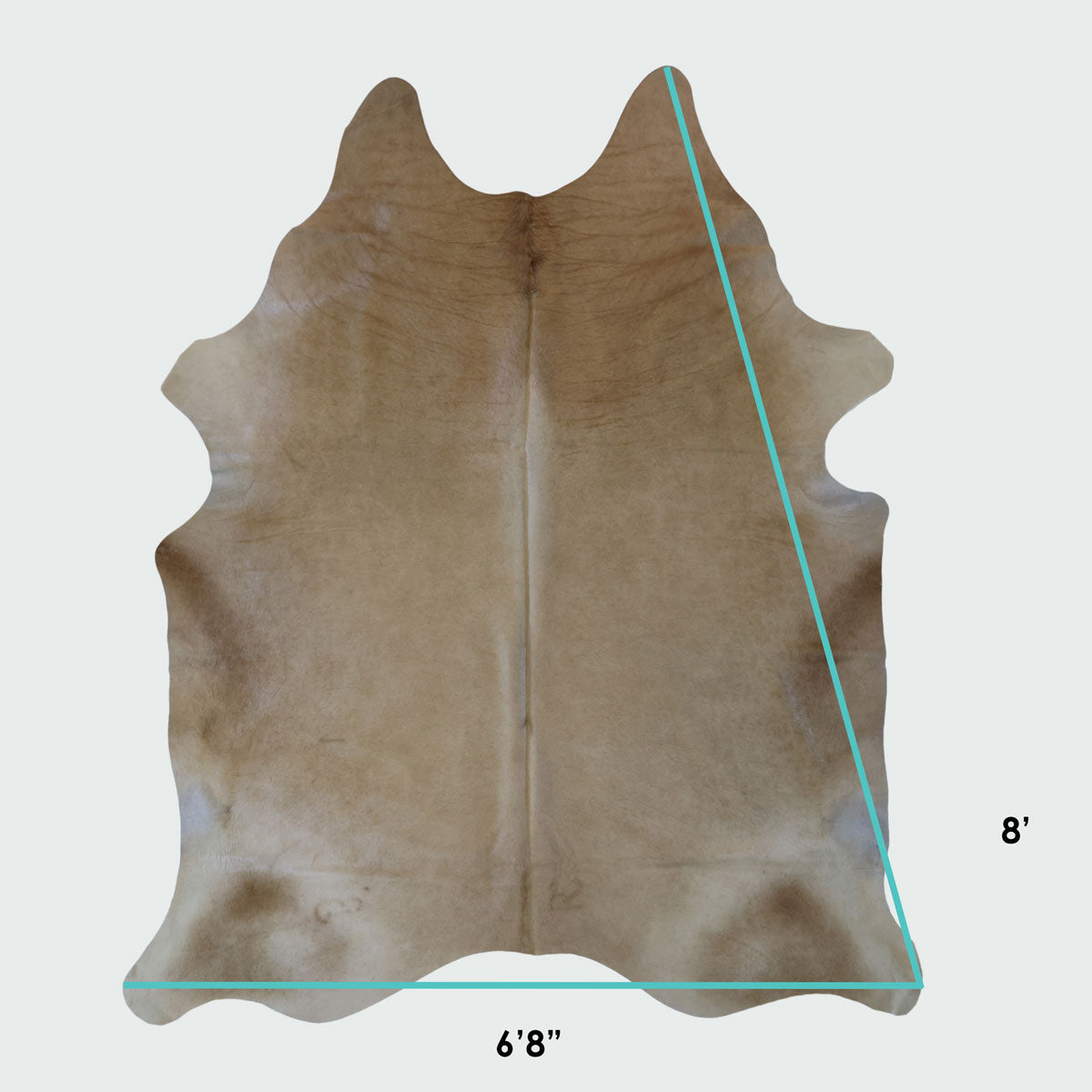 Natural Brazilian Cowhide Pattern 1156 (Golden Champagne)