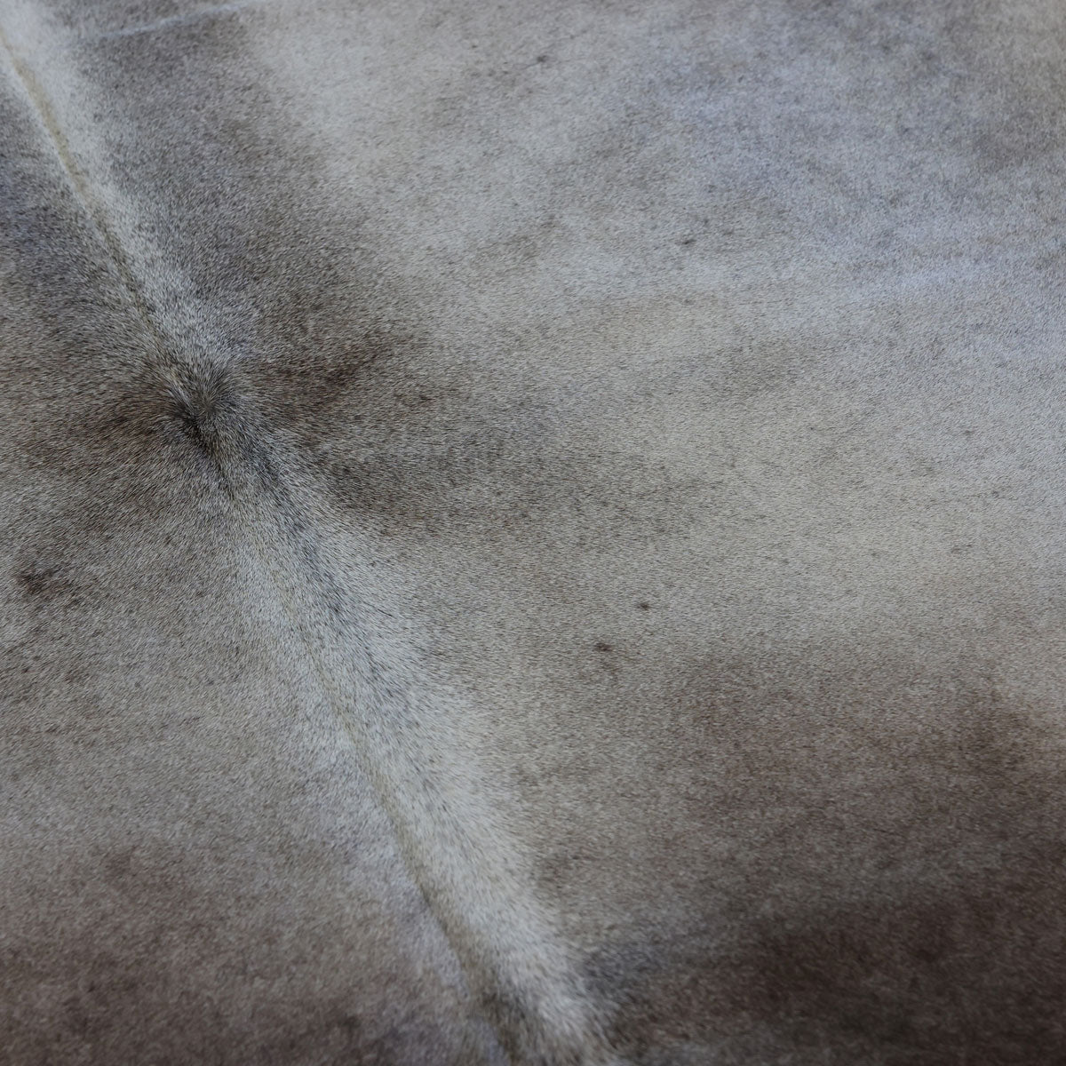 Natural Brazilian Cowhide Pattern 1159 (Golden Champagne)
