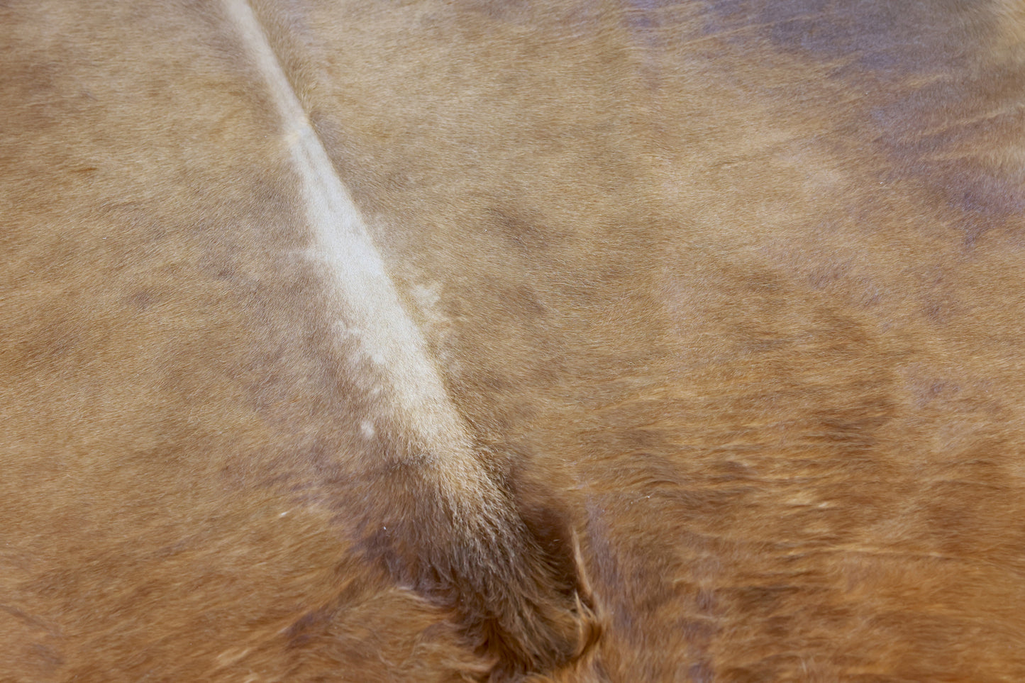 Natural Brazilian Cowhide Pattern 1171 (Golden Brown Brindle)