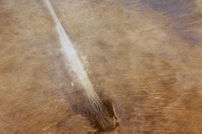 Natural Brazilian Cowhide Pattern 1171 (Golden Brown Brindle)