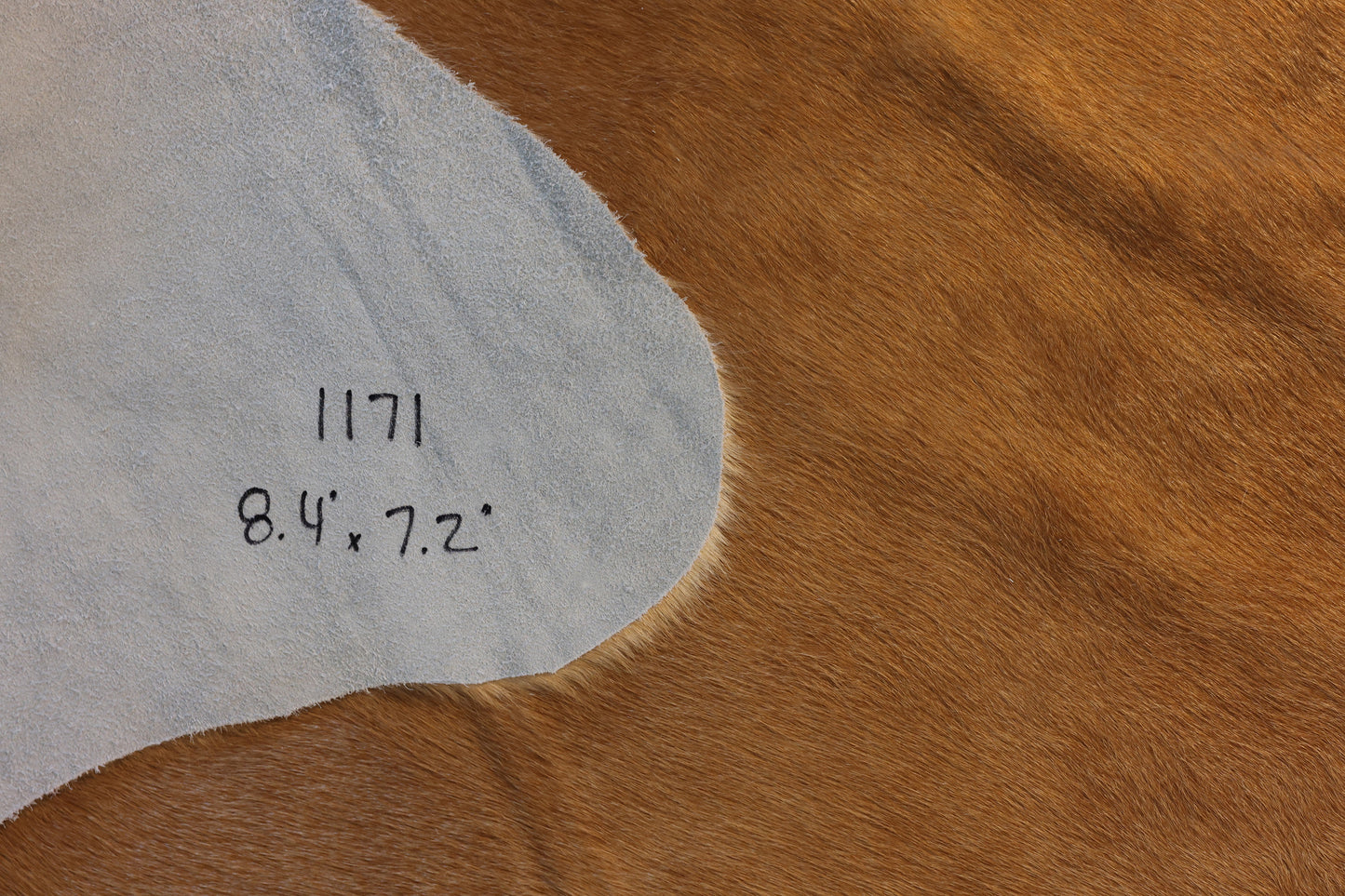 Natural Brazilian Cowhide Pattern 1171 (Golden Brown Brindle)